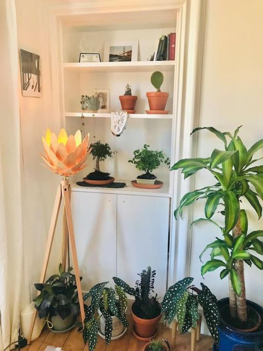 Cosy 2 Bedroom Flat In 爱丁堡 外观 照片